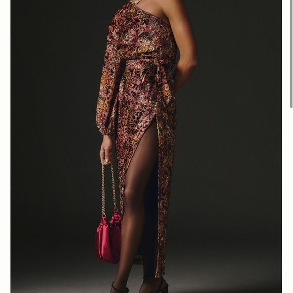 Hemant & Nandita Velvet Burnout Dress - Picture 2 of 10